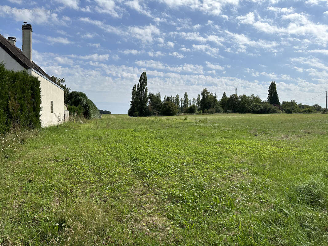 Terrain à VALLERY