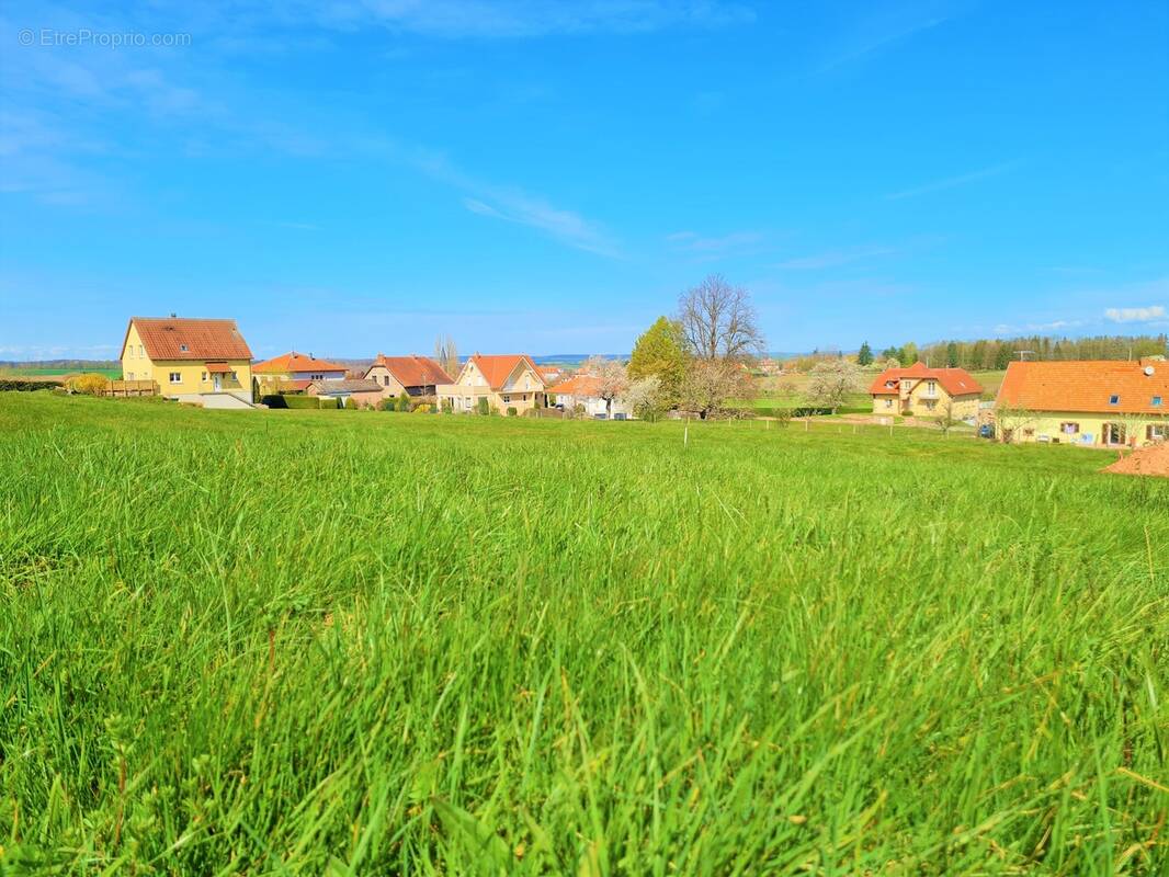 Terrain à PHALSBOURG