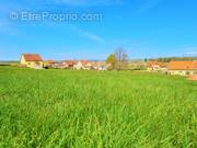 Terrain à PHALSBOURG