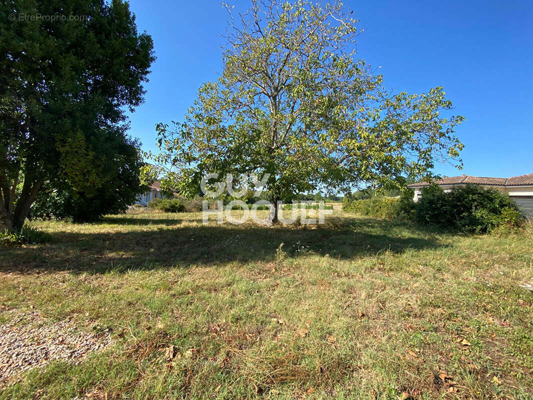 Secteur fronsadais - photo 2