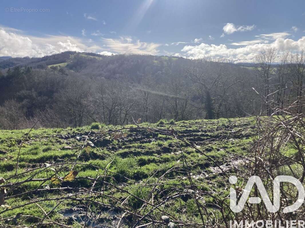 Photo 2 - Terrain à LOSTANGES