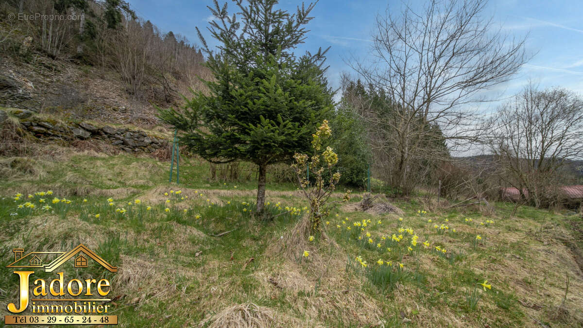 Appartement à PLAINFAING