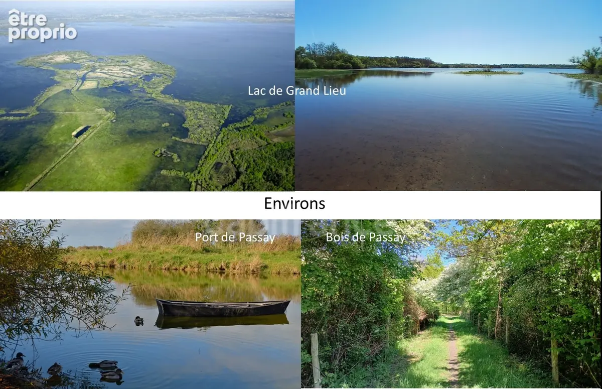 Maison à vendre, havre de paix entre lac et nature – Passay, La Chevrolière (44) - photo 15