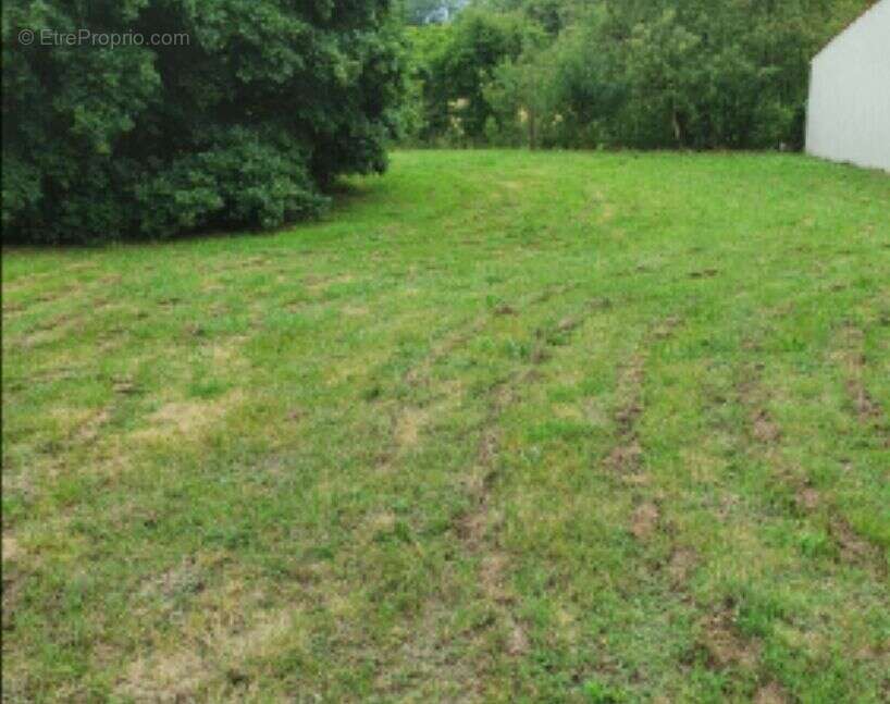 Terrain à COMMEQUIERS