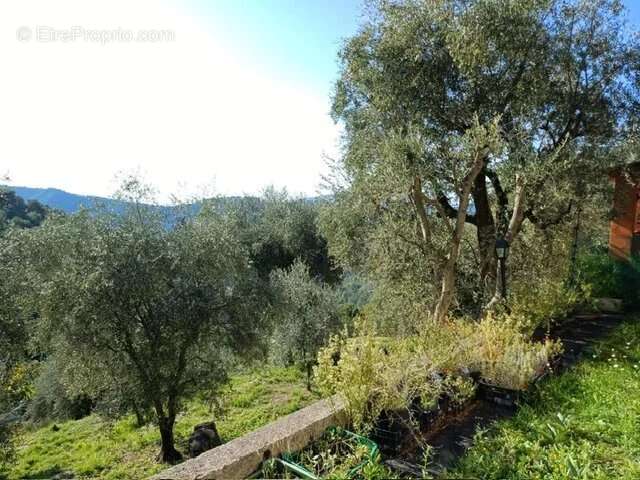 Maison à L&#039;ESCARENE