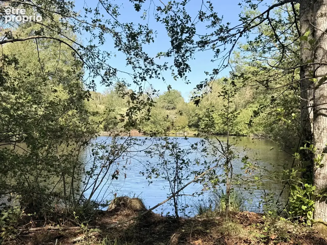 Étang privé de loisirs et de pêche avec bois proche de Montrollet - photo 2