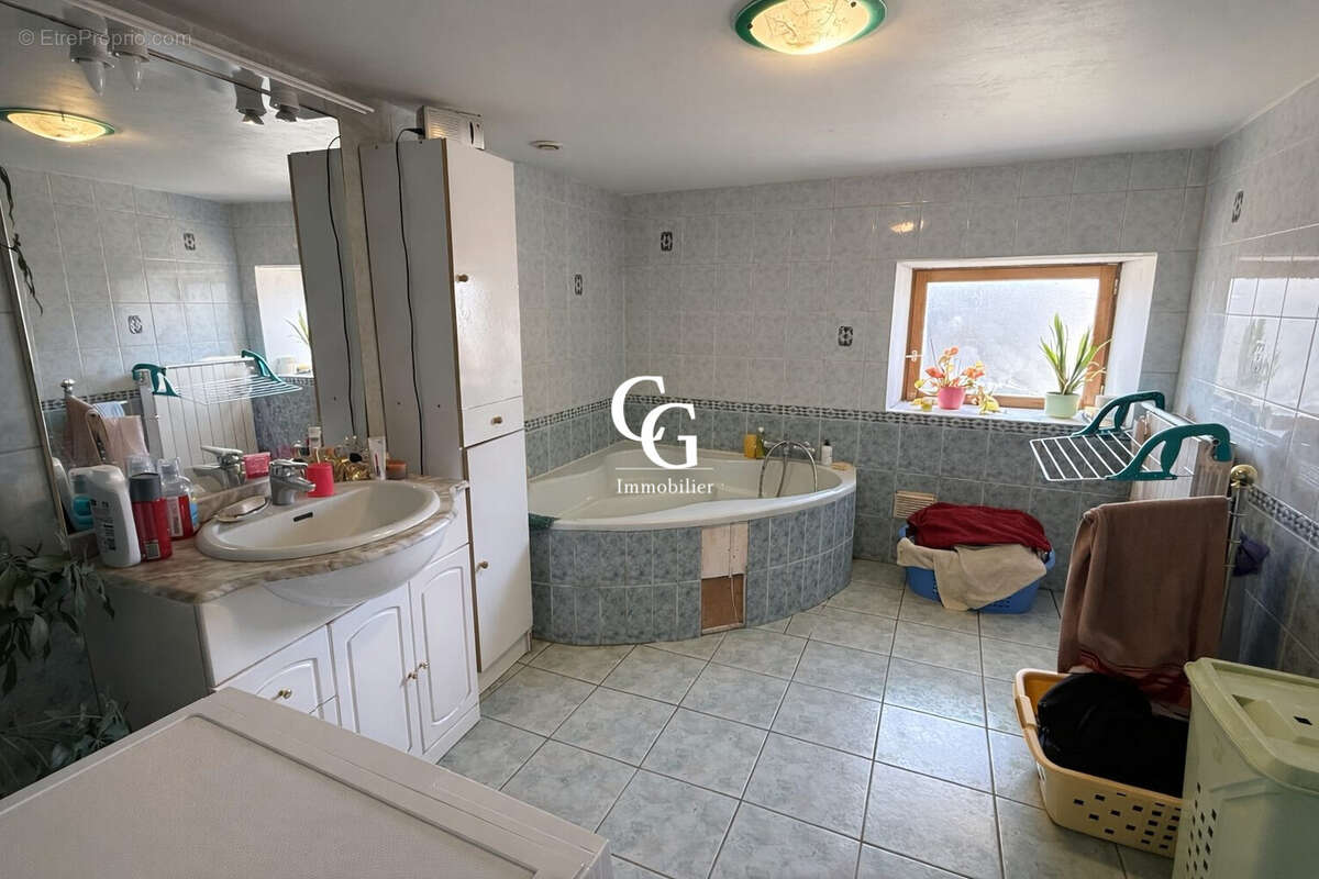 Maison à VIEILLEVIGNE