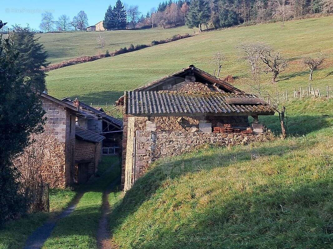 Maison à SAINT-NIZIER-D'AZERGUES