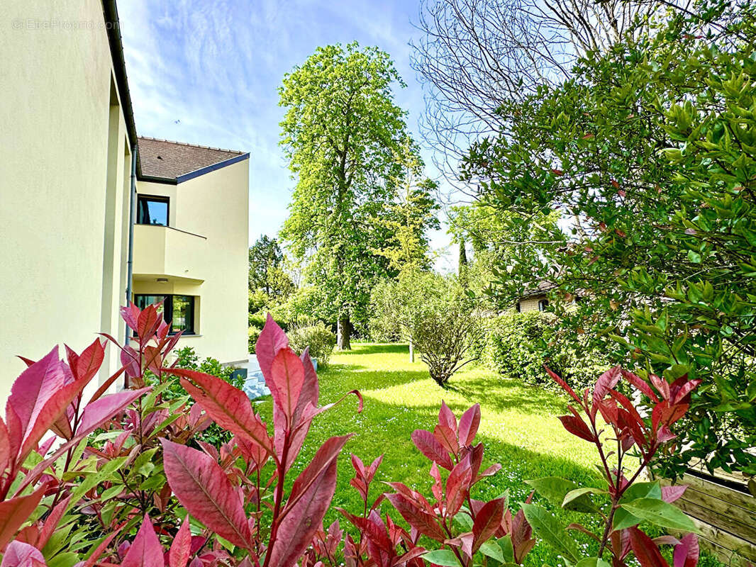Maison à MAISONS-LAFFITTE