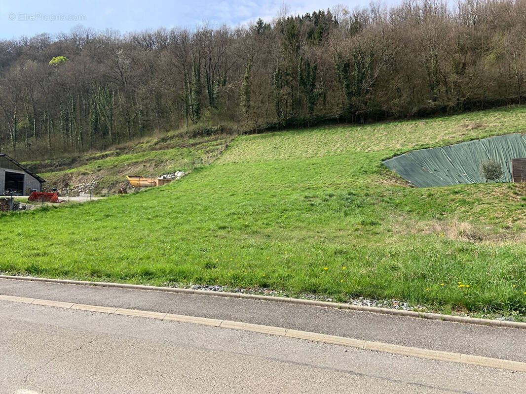 Terrain à LA TRINITE