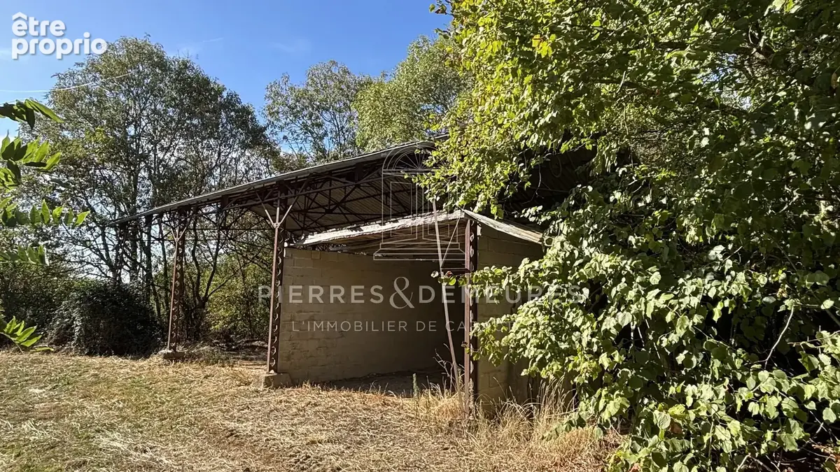 Fermette sur 1 hectare et plus possiblement - photo 4