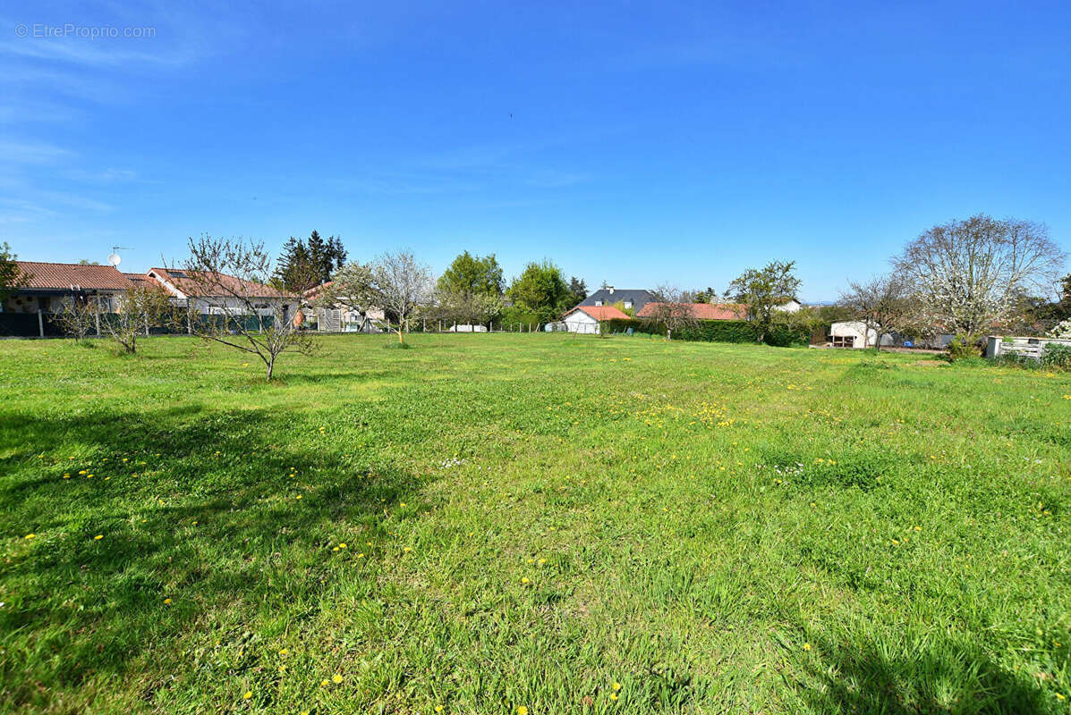 Terrain à COMMELLE-VERNAY