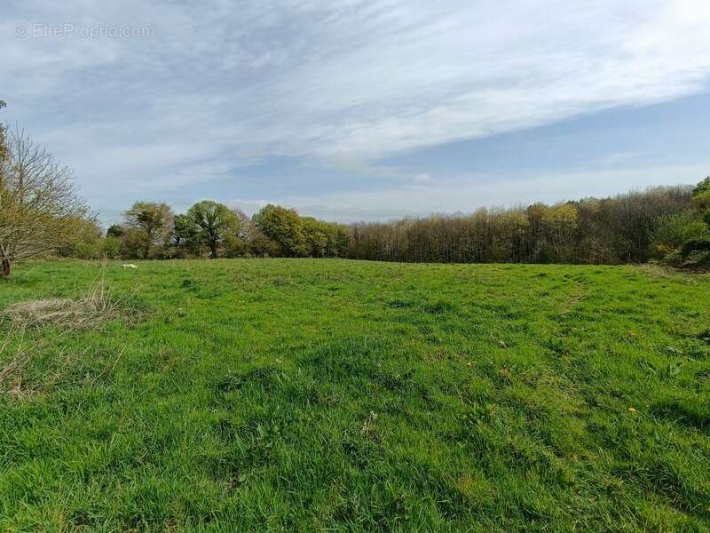 Écolieu en centre bourg - 2,4 ha - Scaër - photo 18