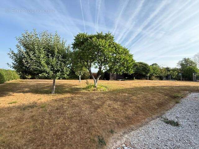 Maison 85 m² à Tordouet  - photo 3