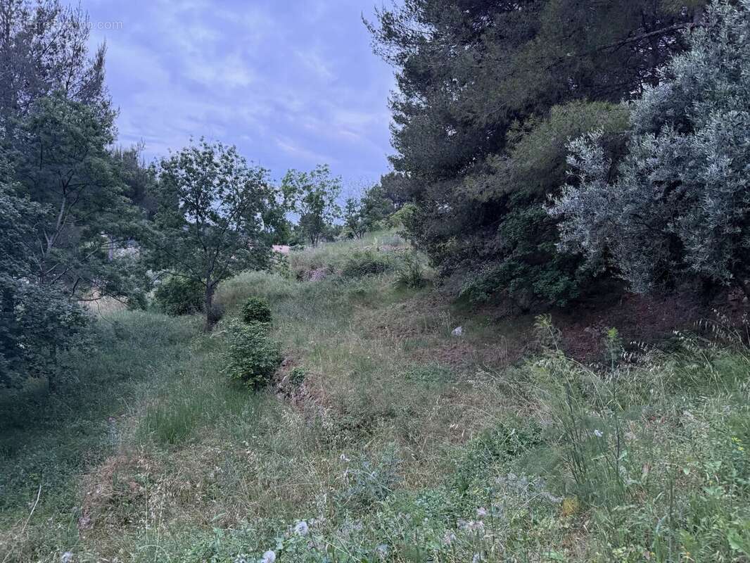 Terrain à ROQUEVAIRE