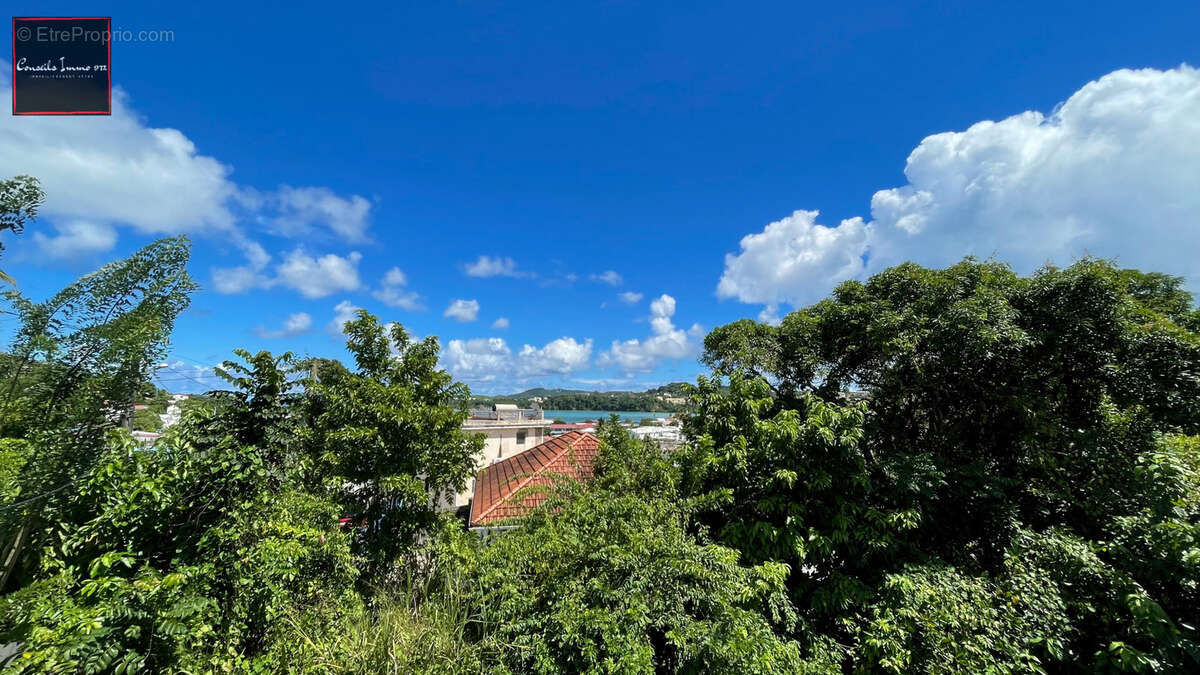 Terrain de 2 016 m2 en vente à Trinité - photo 4