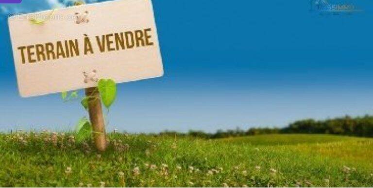 Terrain à SAINT-BENOIT
