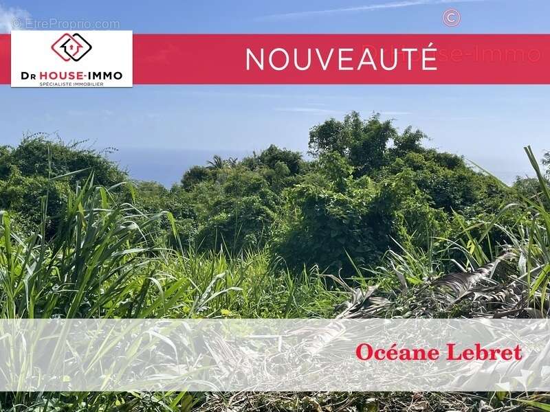 Terrain à VIEUX-HABITANTS