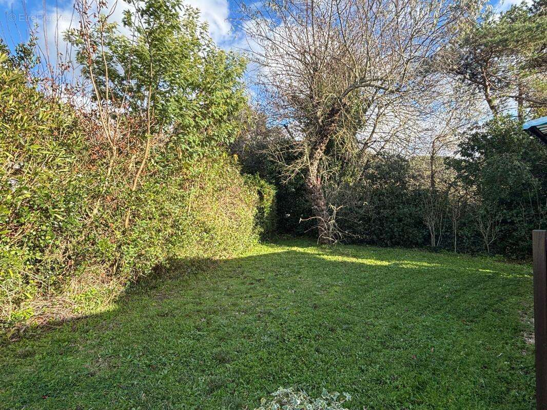 Terrain à DOLUS-D&#039;OLERON