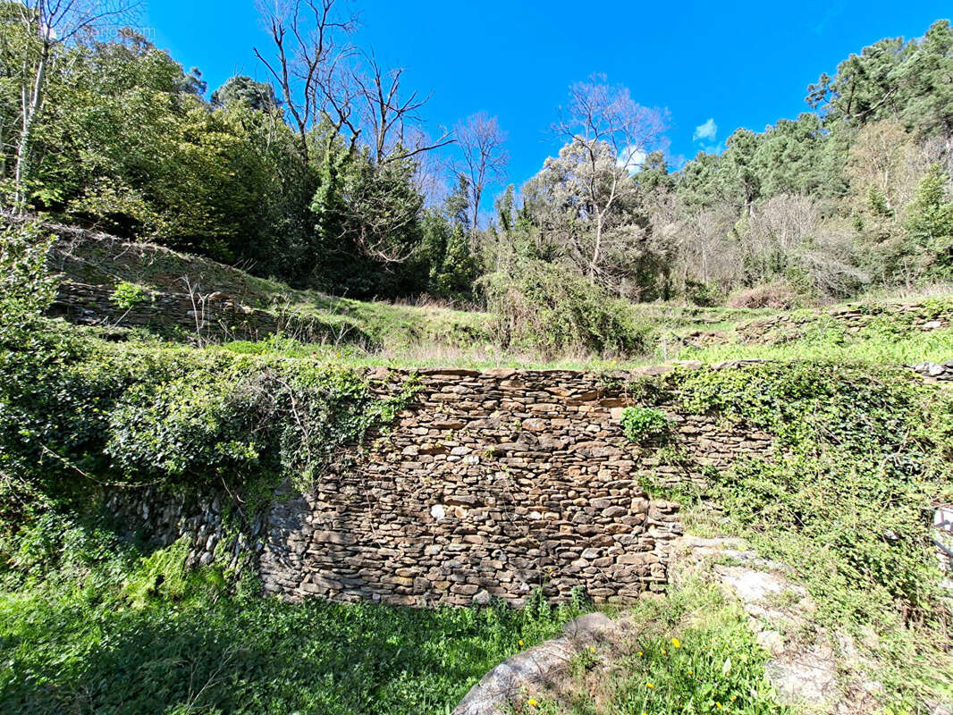 Maison à CHAMBON