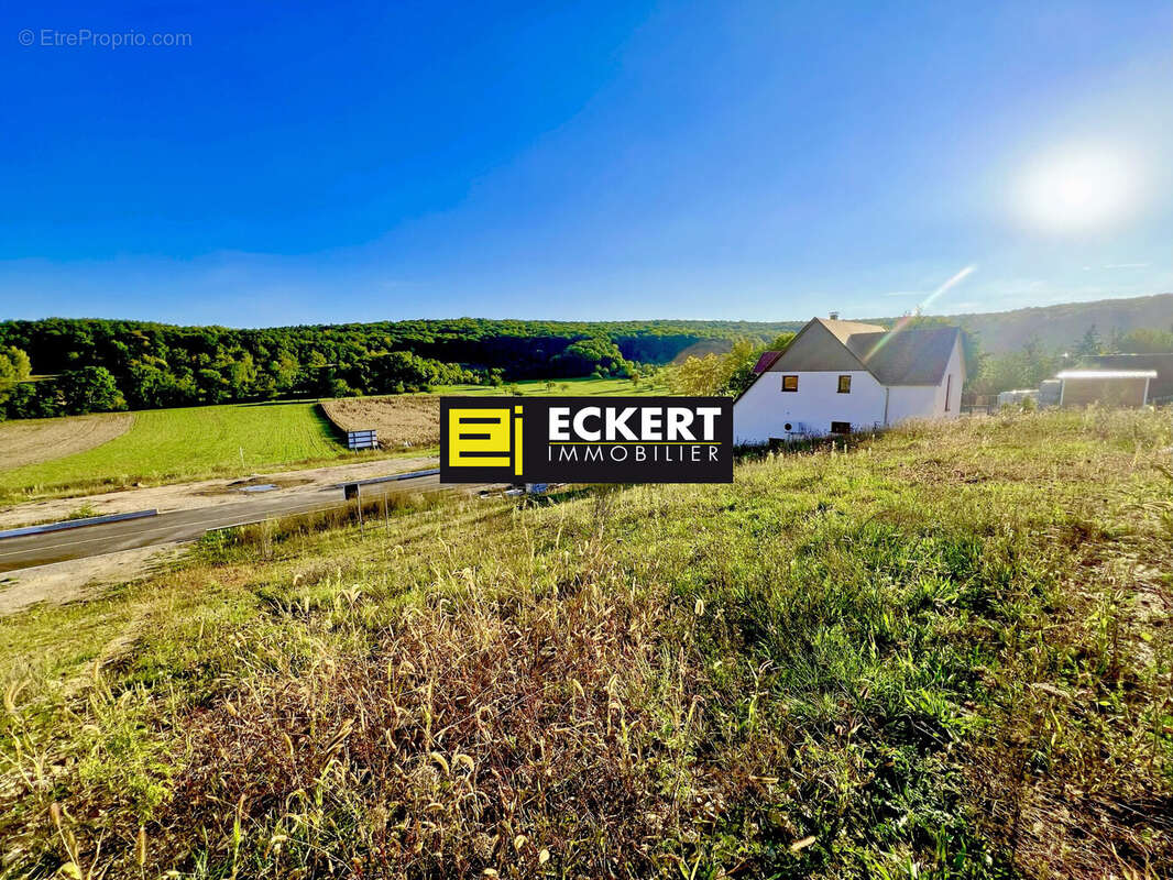 Terrain à ROSENWILLER