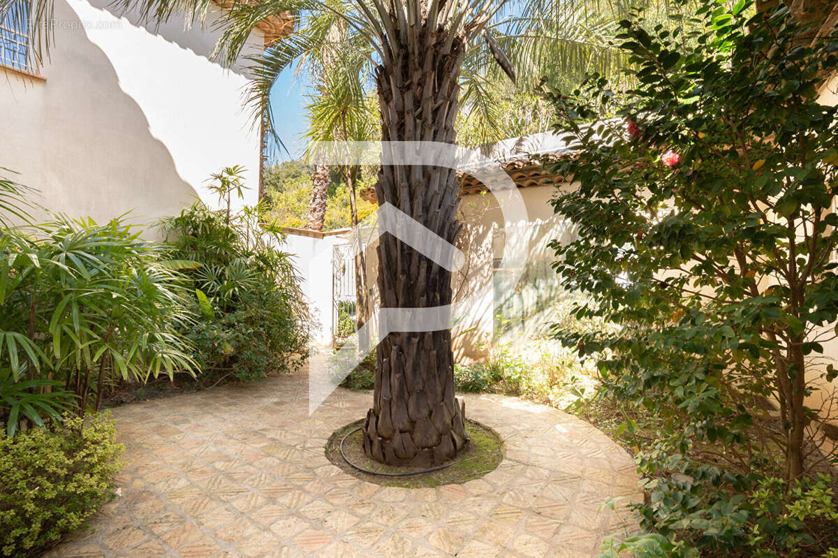 Maison à GRIMAUD