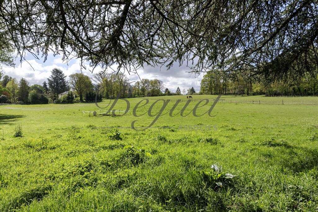 Maison à POIGNY-LA-FORET