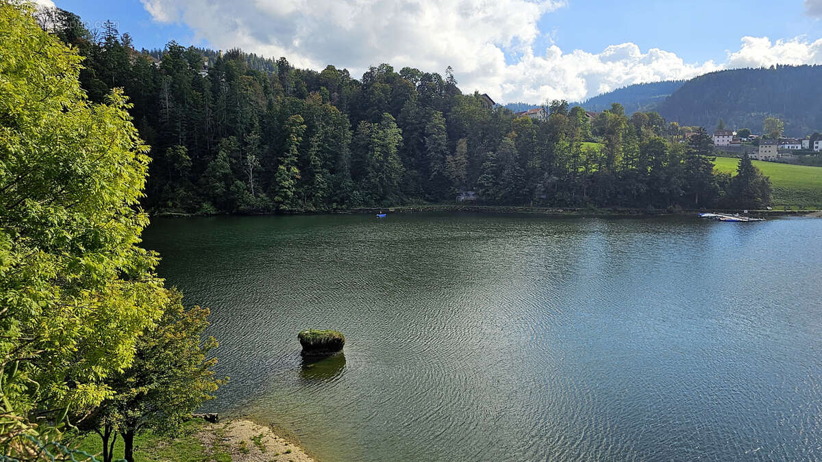 Demeure d’Exception aux Portes de la Suisse : Ancien Hôtel Particulier de 300 m2 face au Doubs - photo 12
