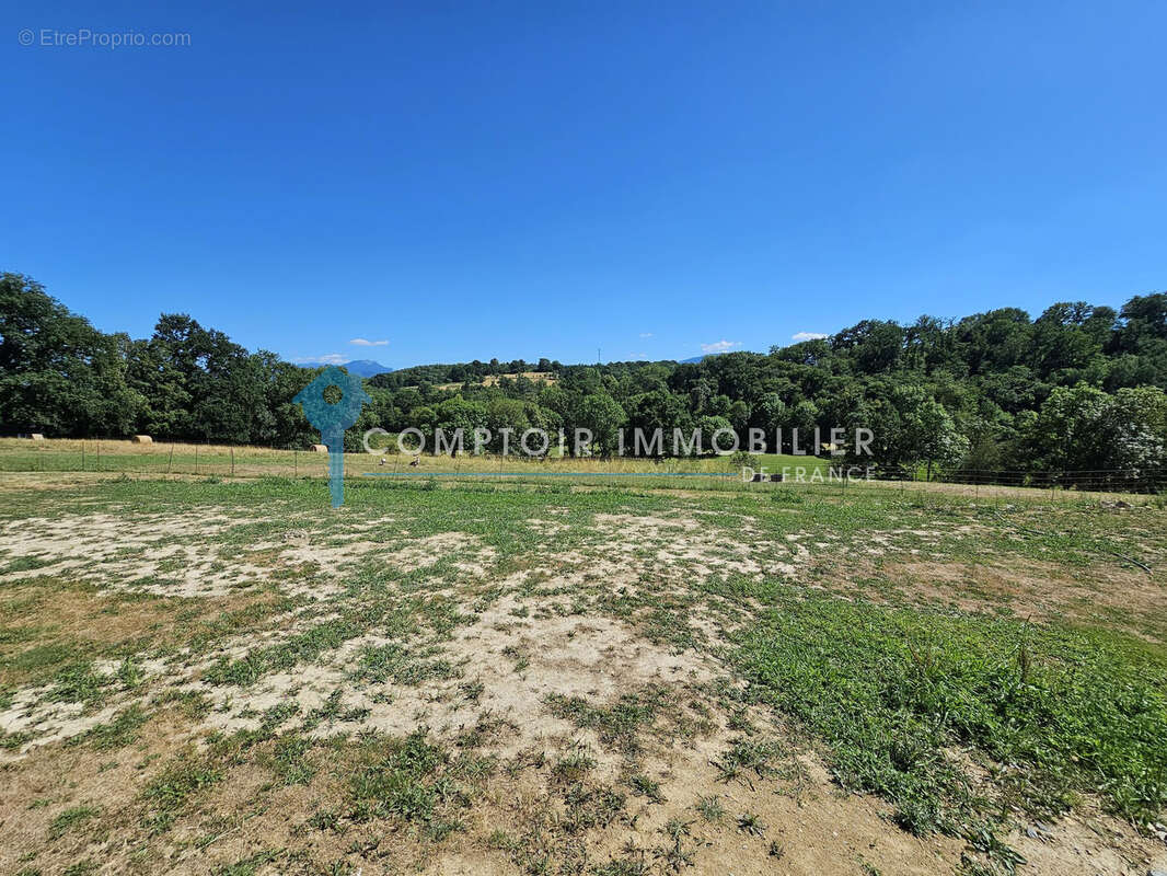 Dpt Haute-Garonne 31, Les Toureilles 31210 - Maison corps de ferme rénovée T5 avec dépendances, jardin 1800 m2 - photo 17