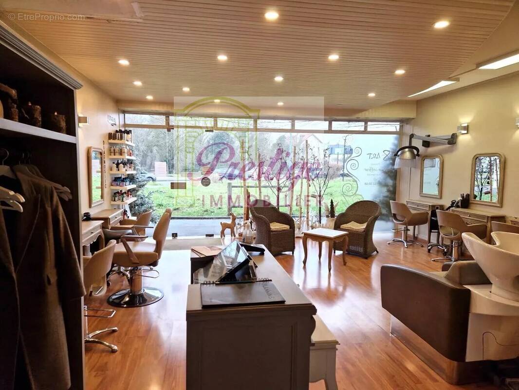 Commerce à LE MESNIL-LE-ROI