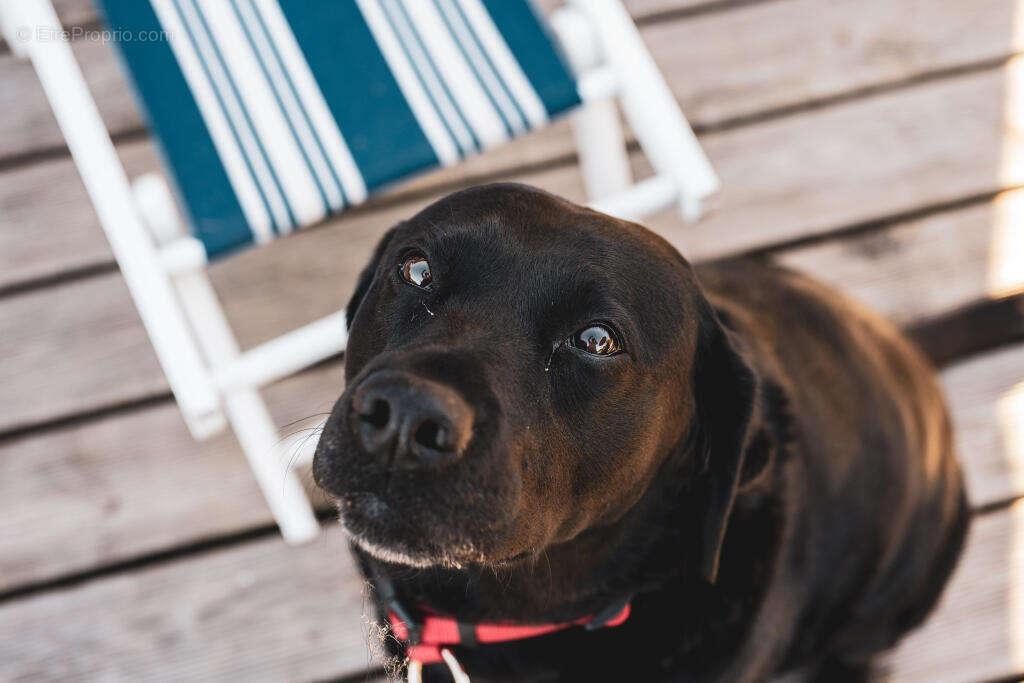 Maison à SAINT-HILAIRE-DU-HARCOUET
