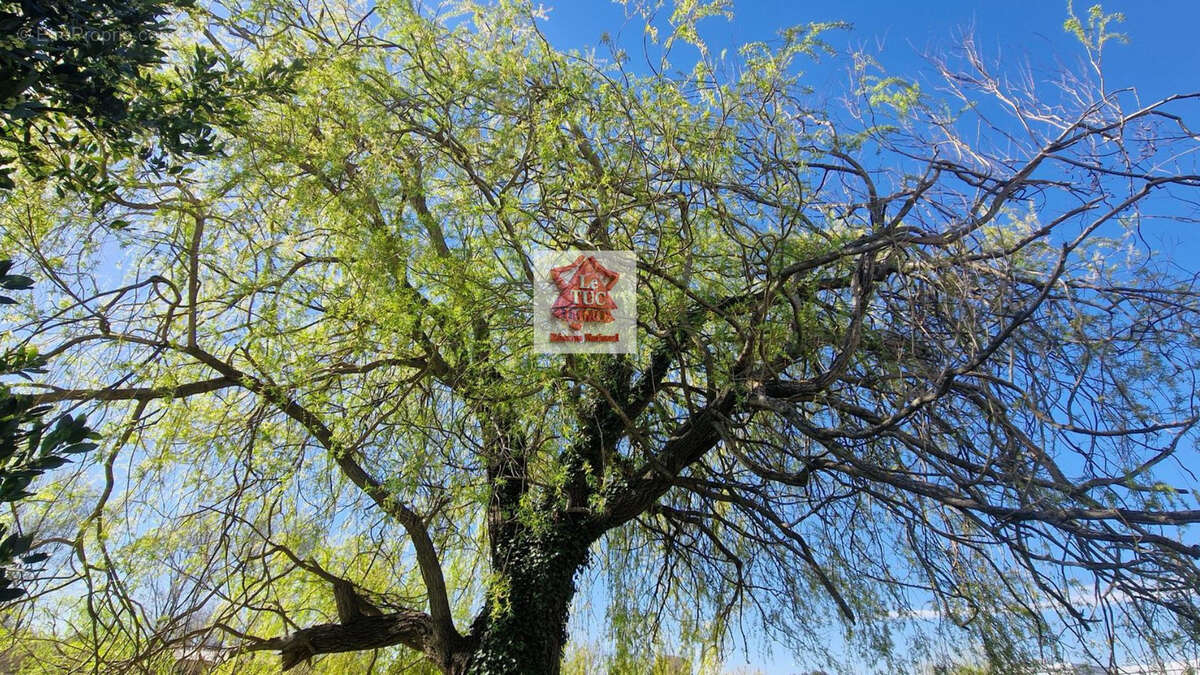 Maison à SAINT-PAUL-TROIS-CHATEAUX