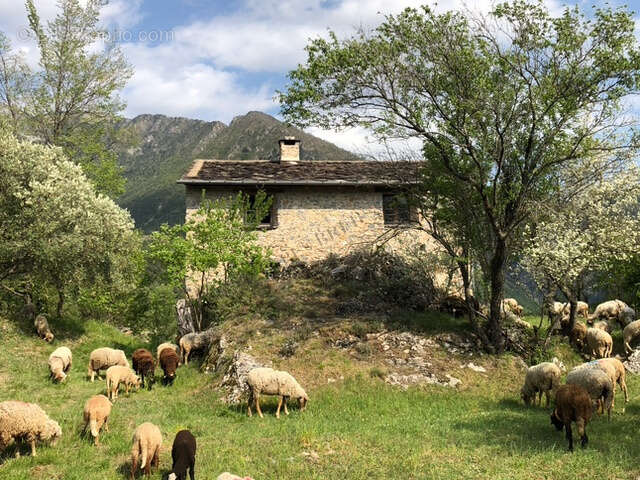 Maison à SAORGE