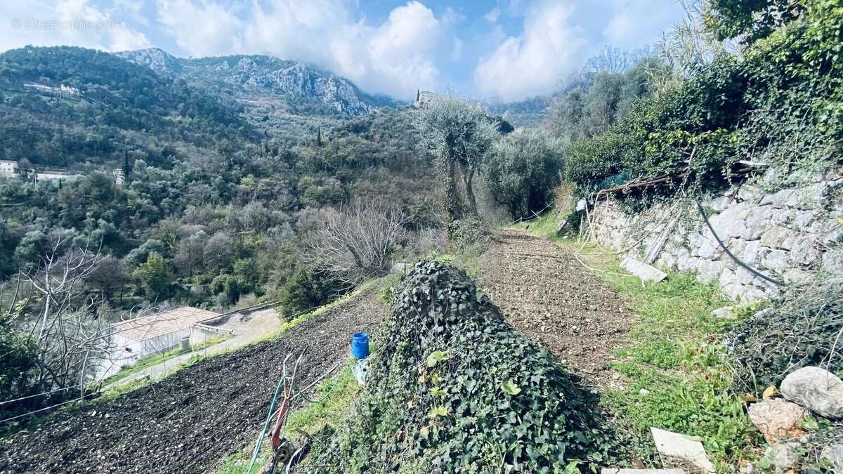 Terrain à GORBIO