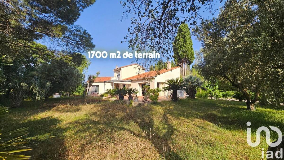 Photo 1 - Maison à MILLAS