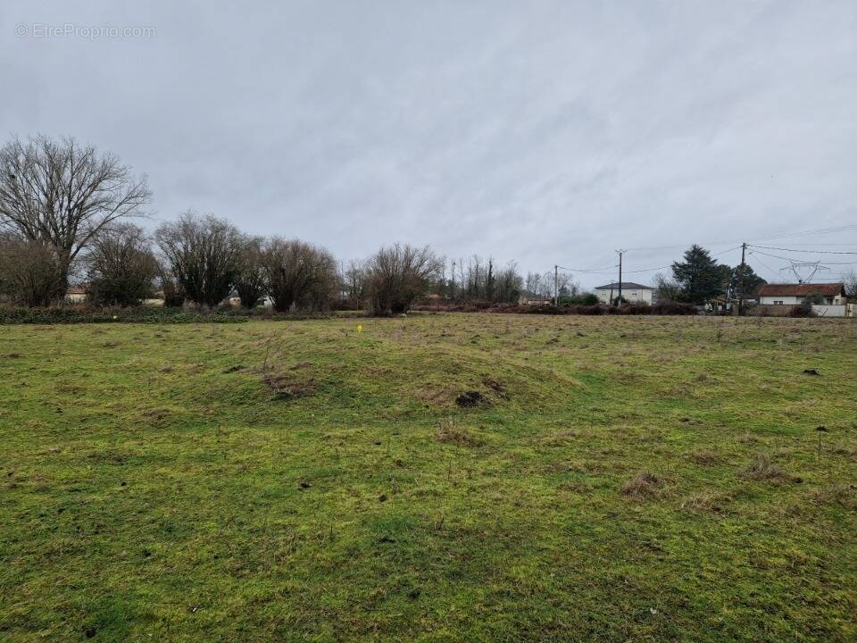 Terrain à AMBARES-ET-LAGRAVE