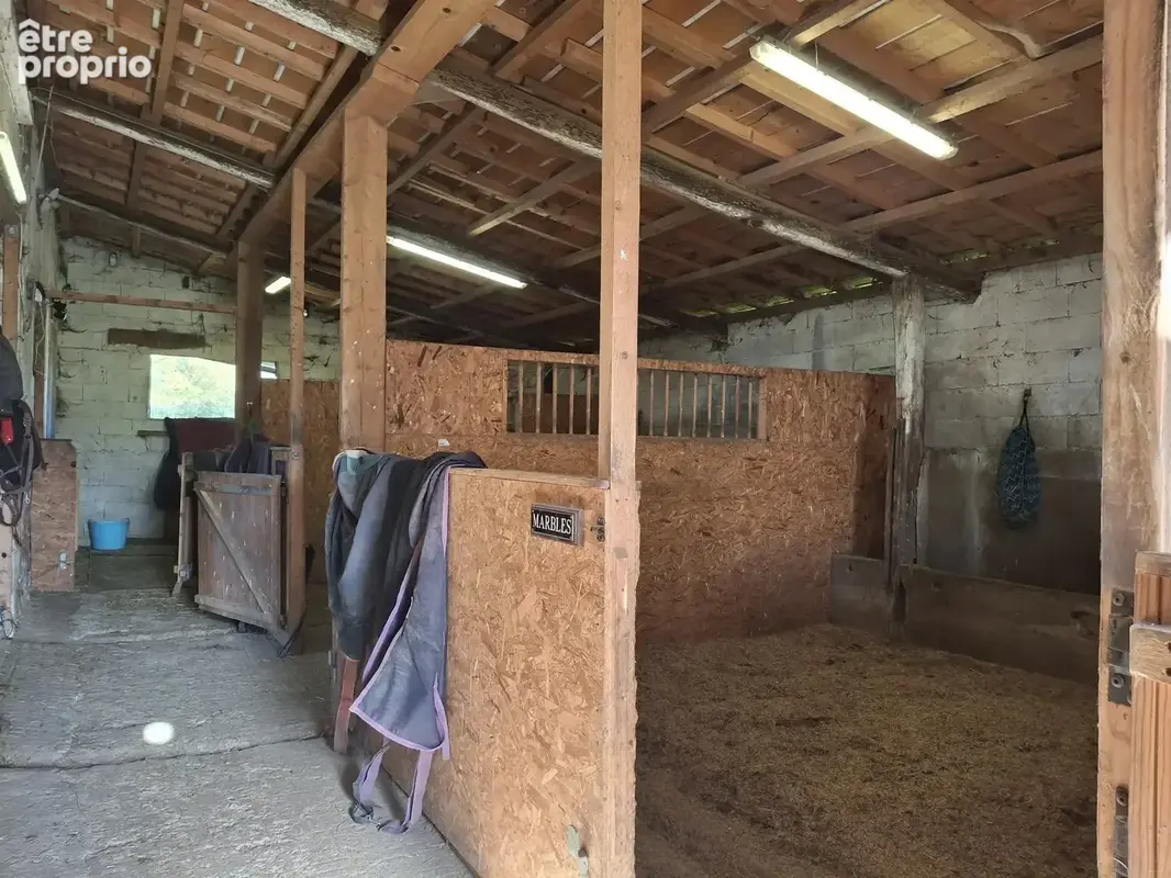 Charmante propriété équestre avec carrière en sable, granges, piscine et plus de 4 hectares de terrain - photo 16