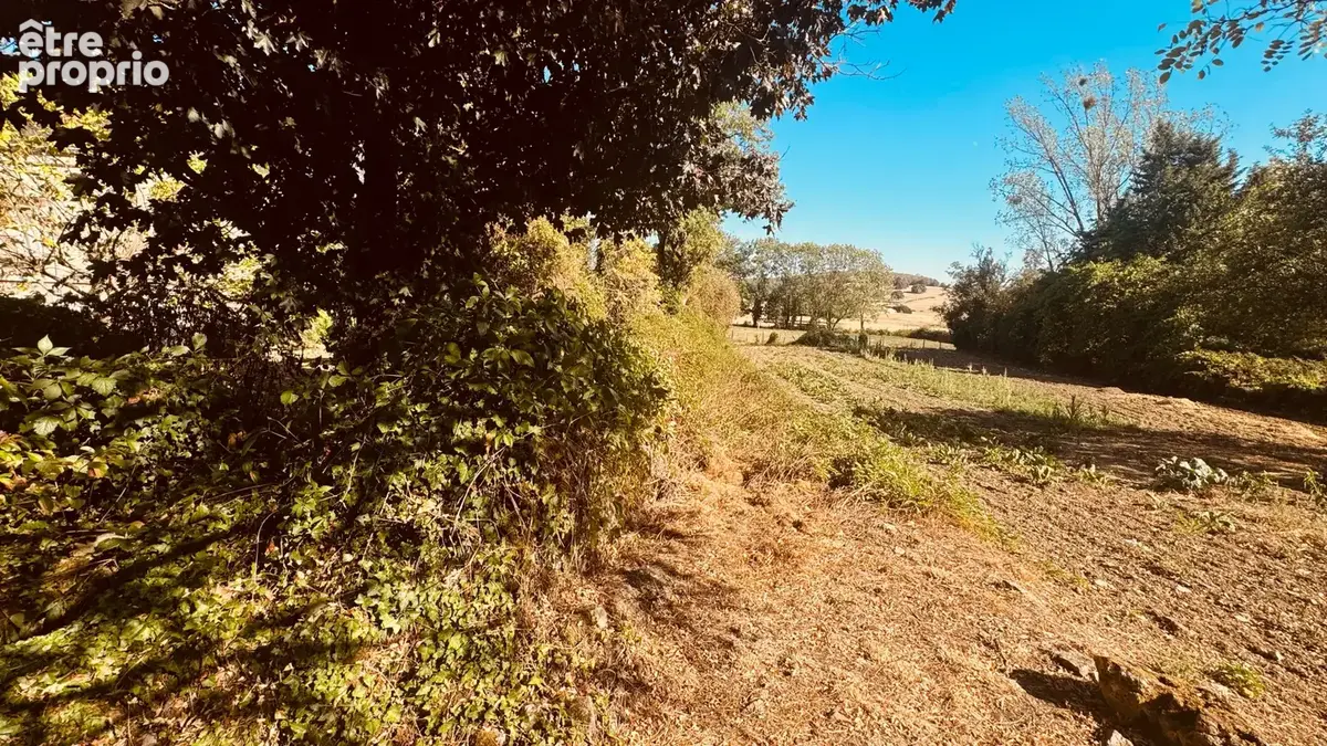 Maison de village à rénover à THORY ( 89200)  au prix de 35 000 € avec cour et potager. - photo 5