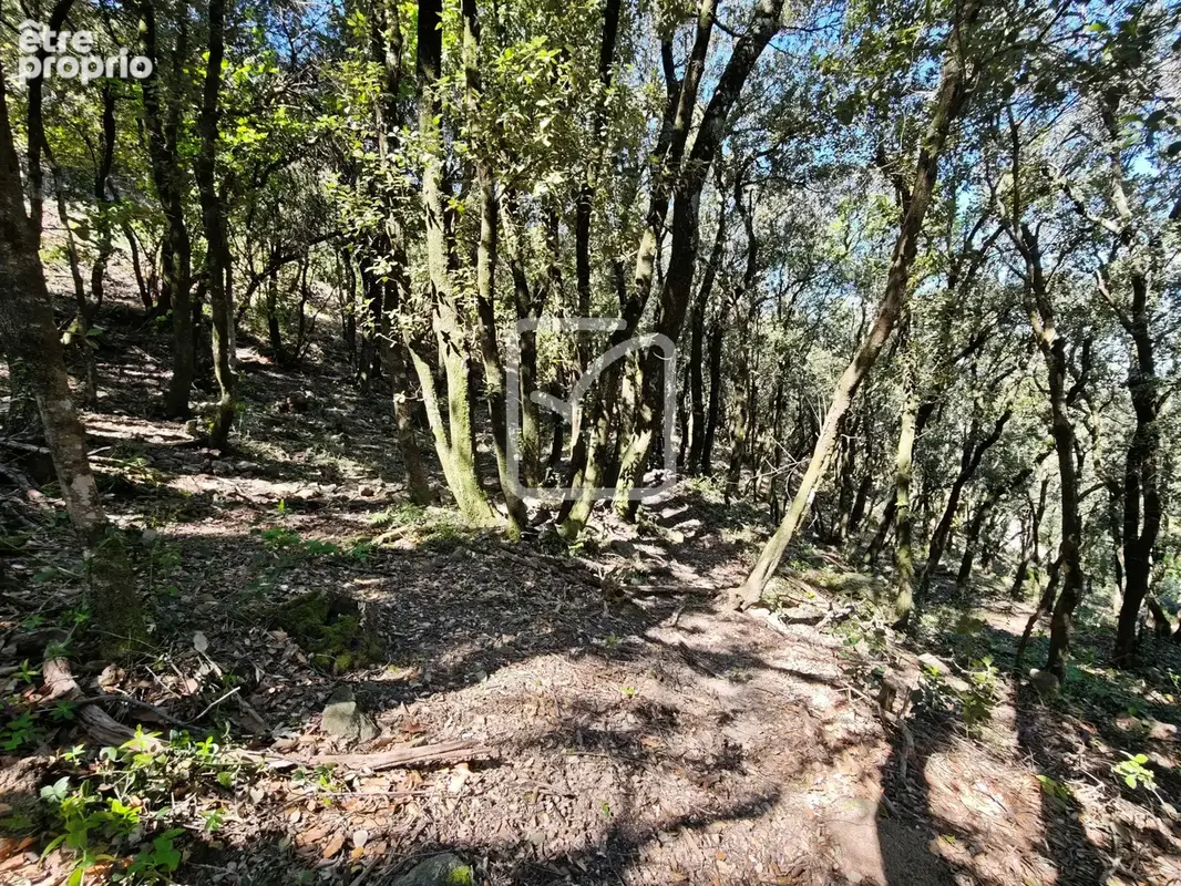 Beau et grand terrain constructible environnement nature! - photo 5