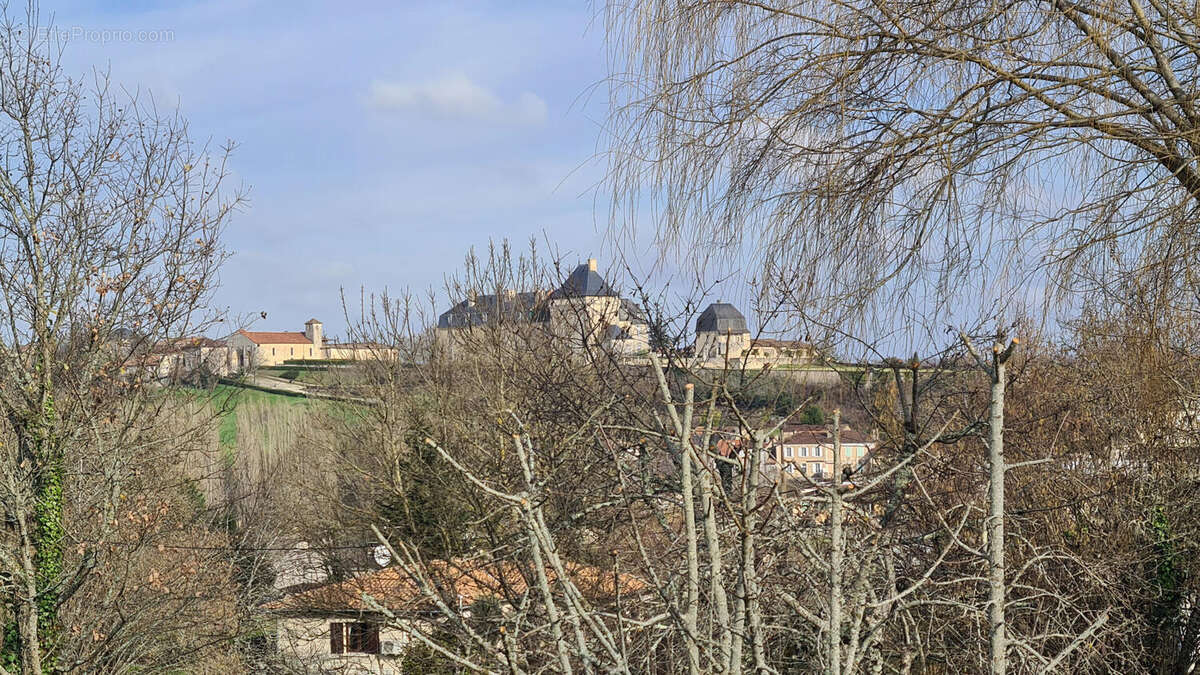 vue sur chateau - Maison à CHALAIS