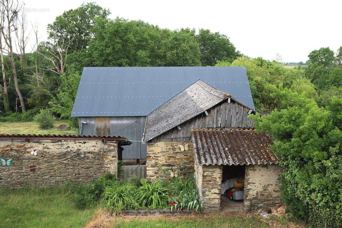 Maison à SENONNES
