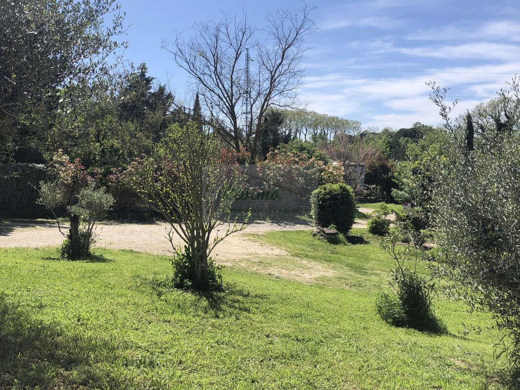 Propriété à Boisseron : nature, espace et fort potentiel locatif réunis - photo 17