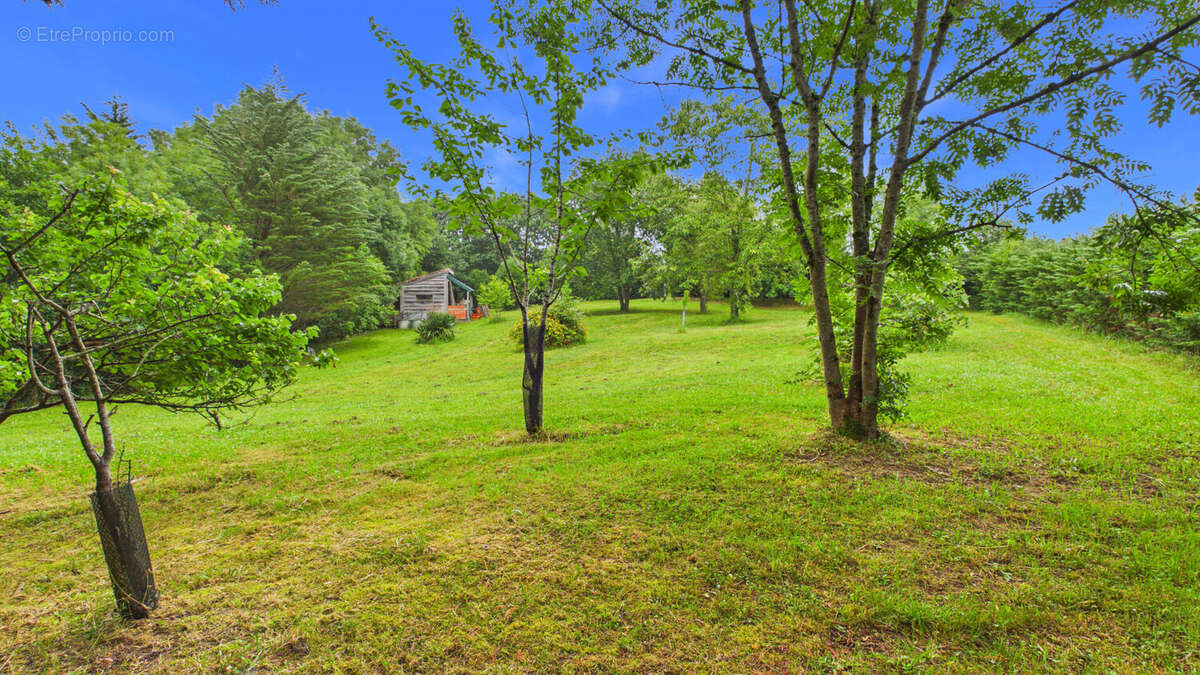 Terrain constructible de 2 244 m² avec forêt de 2 hectares - photo 8