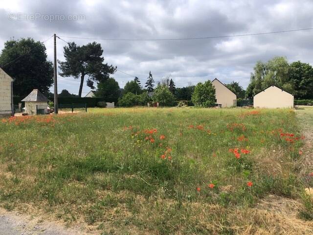 Terrain à SARRIGNE