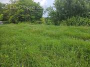 Terrain à LES TROIS-ILETS