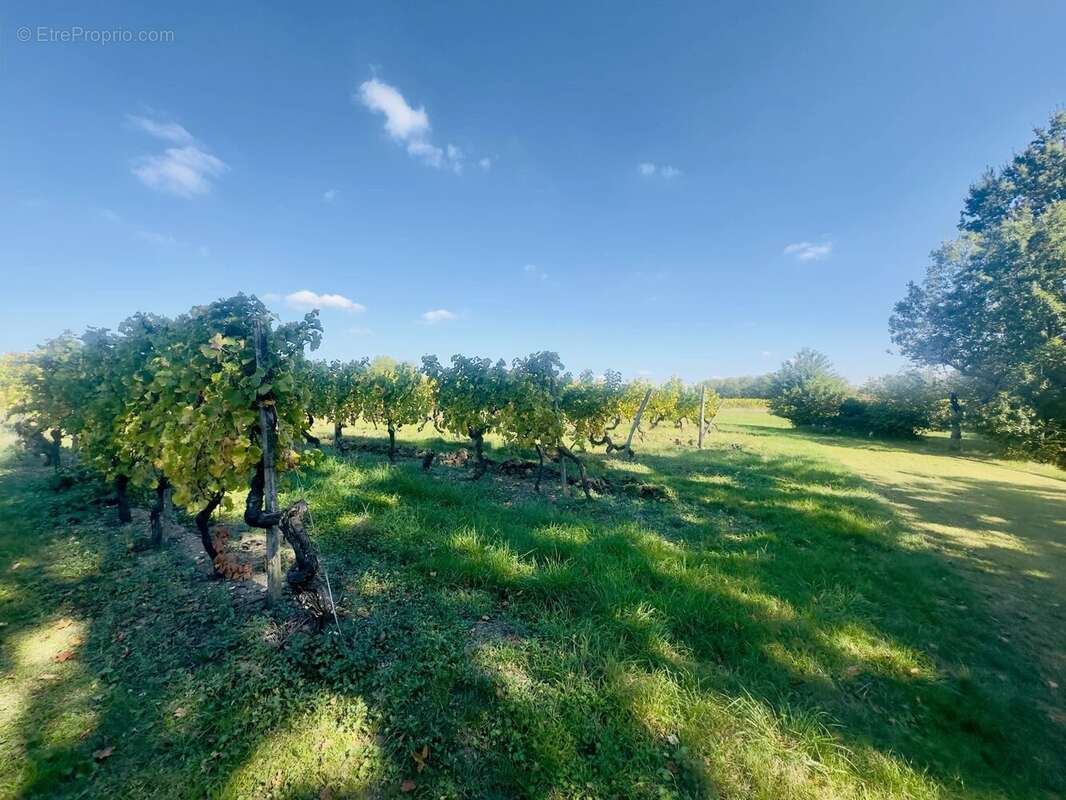 Maison à MONBAZILLAC