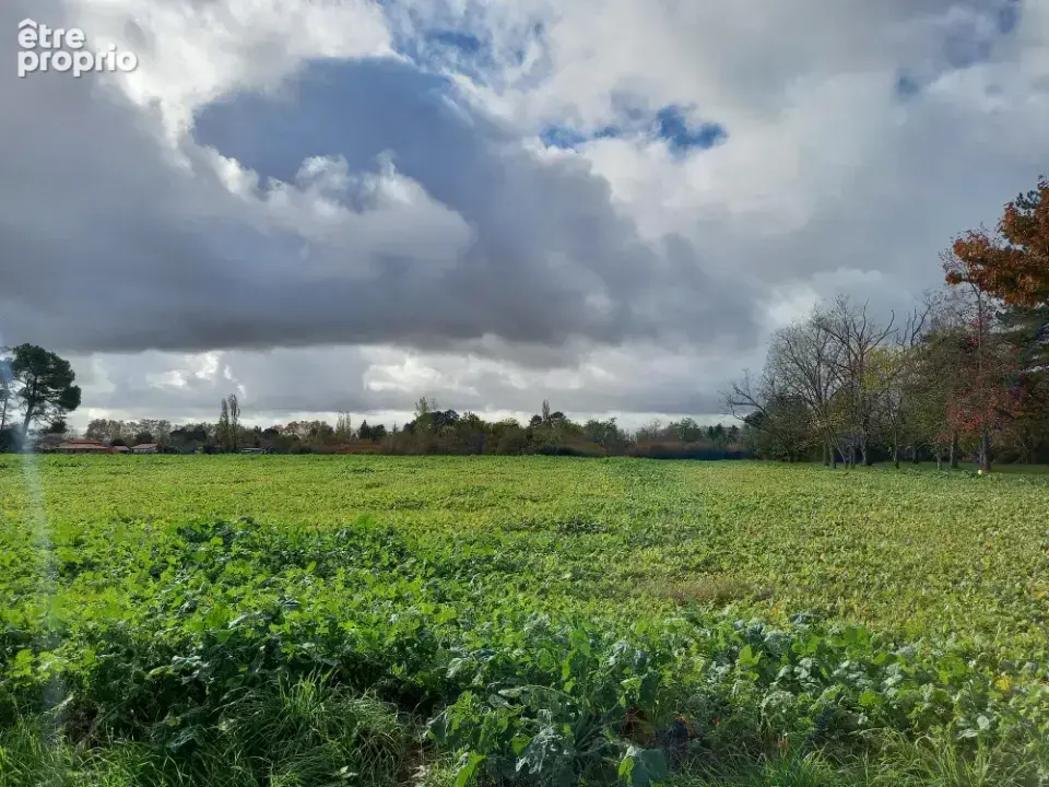 Terrain à GAILLAC