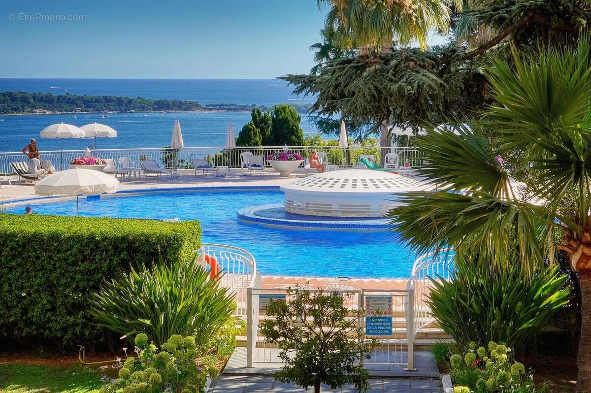 Luxueux 3P Vue Mer Californie - photo 19