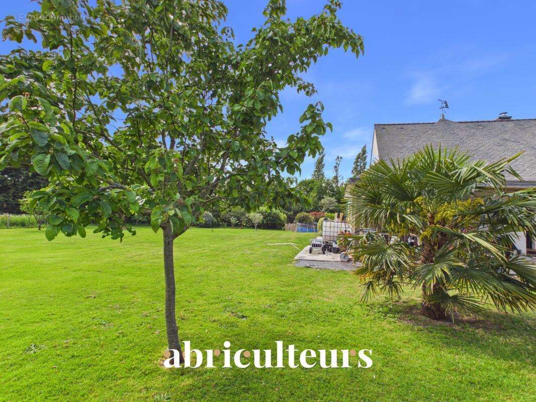 Maison avec grand jardin de 2 519 m² en vente à Carnac (56340) - photo 12