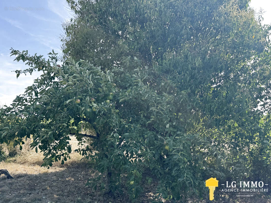 Maison de plain-pied au milieu de son jardin arboré d'arbres fruitiers avec grange de 346 m2 - photo 22
